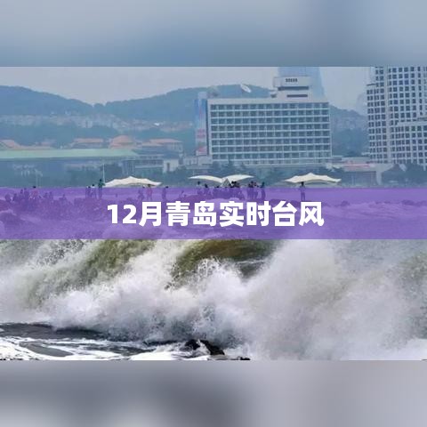 青岛实时台风动态追踪