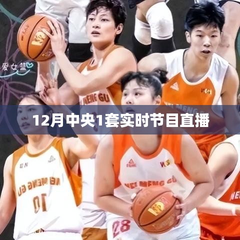 央视一套12月实时节目直播