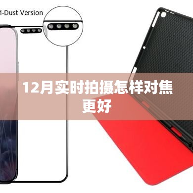 冬季拍摄技巧，如何优化对焦提升照片质量