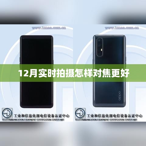 冬季拍摄技巧,如何优化对焦提升照片质量