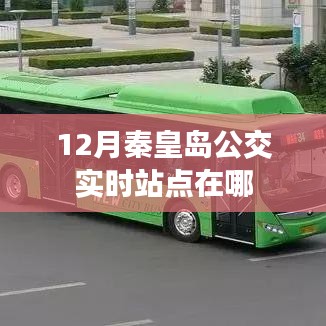 秦皇岛公交实时站点查询(冬季版)