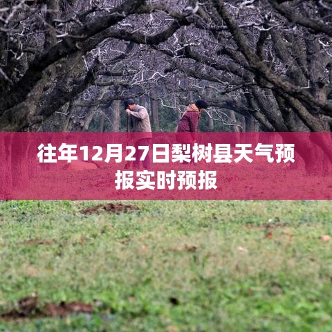梨树县天气预报实时更新|往年12月27日天气预测