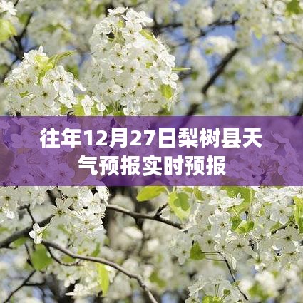 梨树县天气预报实时更新|往年12月27日天气预测