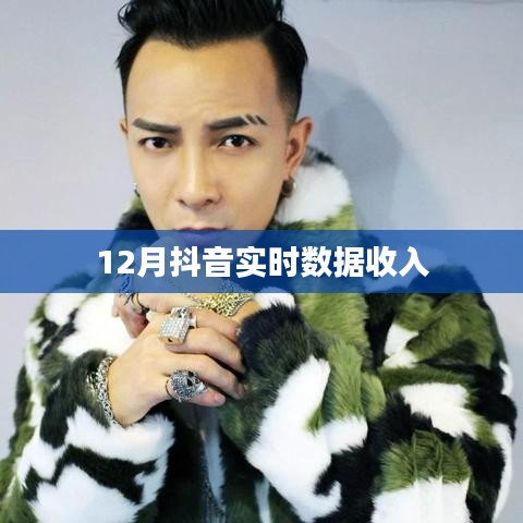 抖音实时数据收入揭秘,月入巅峰,揭秘背后的秘密