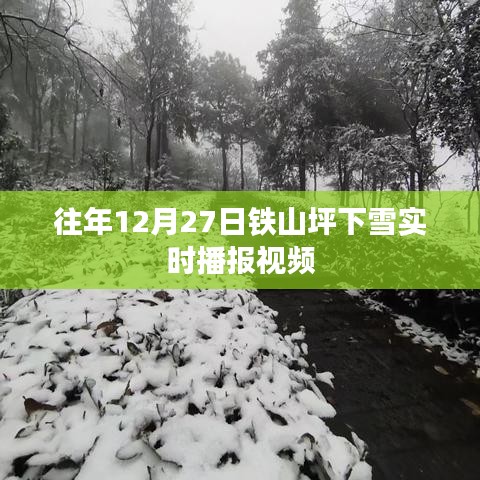 铁山坪往年12月27日雪景实时播报视频回顾