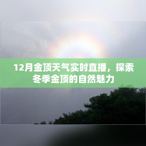 冬季金顶实时直播,探索自然魅力的绝佳之地