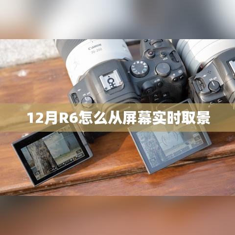 R6相机屏幕实时取景方法解析