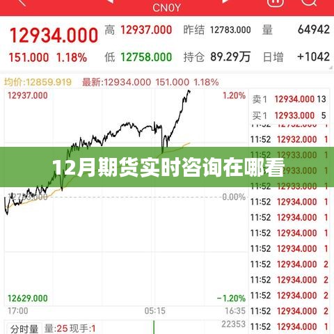 12月期货实时咨询查看指南