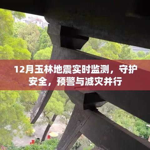 玉林地震实时监测,守护安全,预警与减灾并进