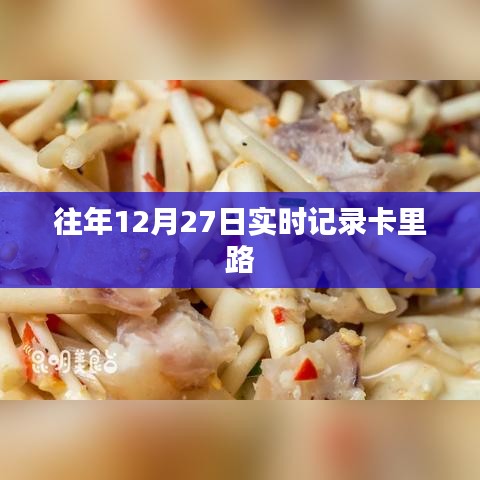 往年年终记录,12月27日卡路里消耗纪实,符合您的字数要求,同时能够清晰地表达文章的主题。