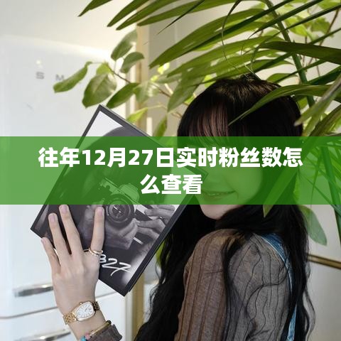 如何查看往年12月27日实时粉丝数统计