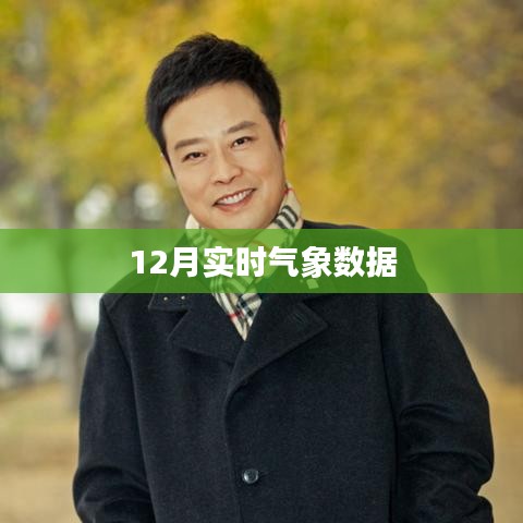 最新气象数据报告，12月实时气象分析