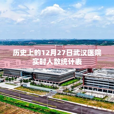 武汉医院实时人数统计表,历史数据一览