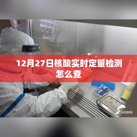 核酸实时定量检测查询方法指南