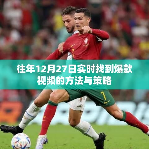 案例展示 第280页