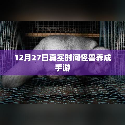 真实时间怪兽养成手游,12月27日开启探索之旅