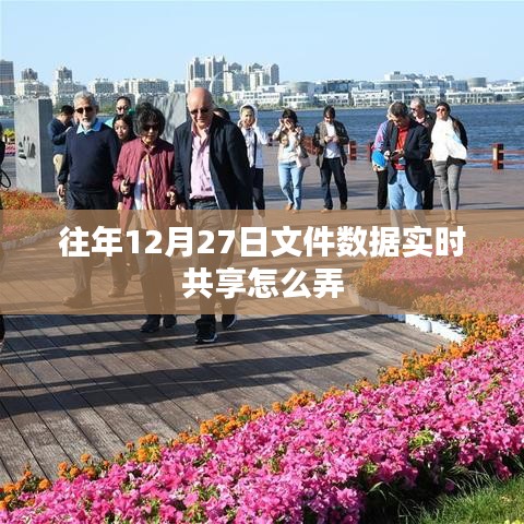年终文件数据实时共享指南,如何操作往年12月27日文件数据共享