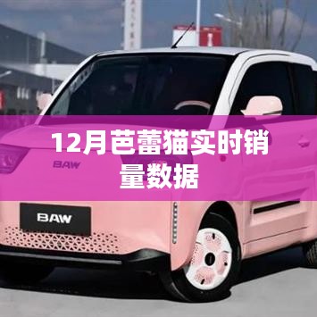 12月芭蕾猫销量数据实时更新