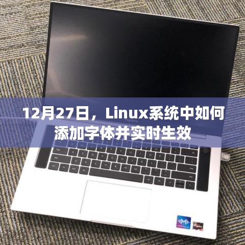 Linux系统添加字体并实时生效的方法
