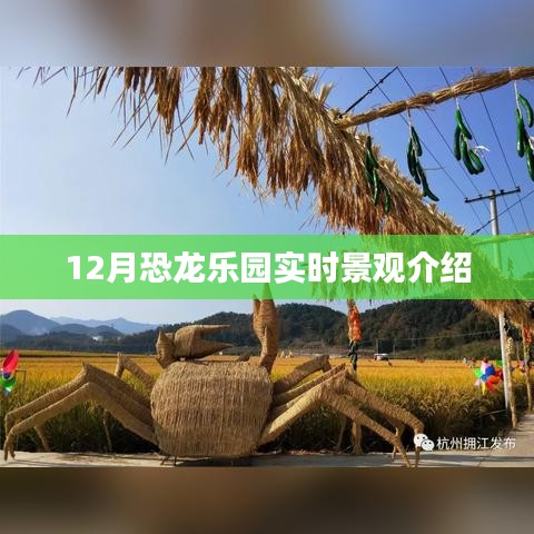 12月恐龙乐园精彩景观一览