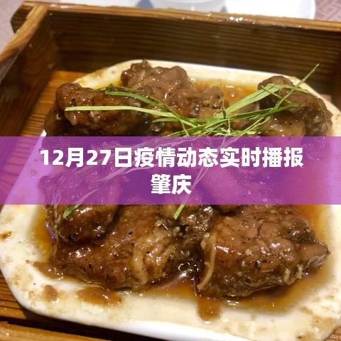 肇庆疫情动态实时播报更新(12月27日)