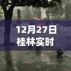 桂林最新气象图表格(实时更新)