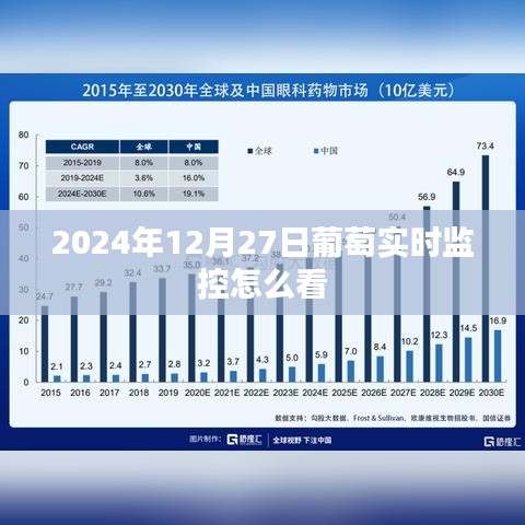 葡萄实时监控查看指南,2024年12月27日操作教程