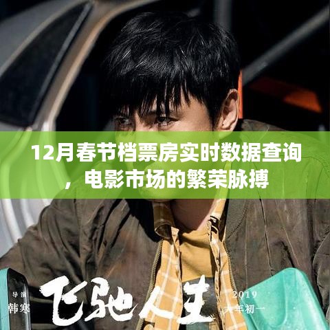 12月春节档电影市场繁荣,实时票房数据查询