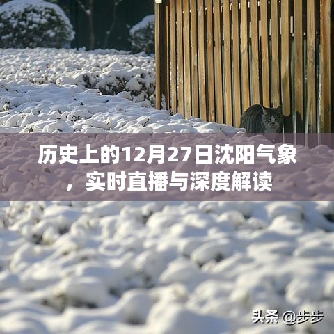 沈阳气象深度解读，历史上的12月27日实时直播回顾