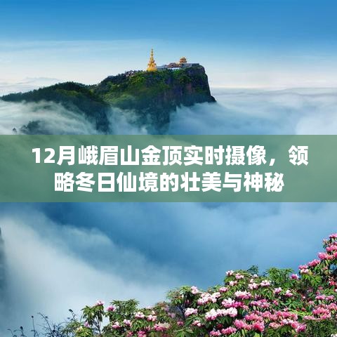 峨眉山金顶实时摄像,冬日的仙境壮美与神秘