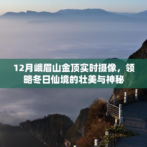 峨眉山金顶实时摄像,冬日的仙境壮美与神秘