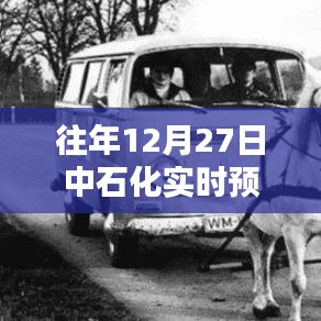 中石化油价实时预测,历年12月27日走势分析