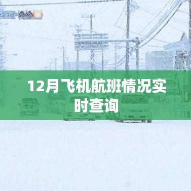 12月飞机航班实时查询情况更新