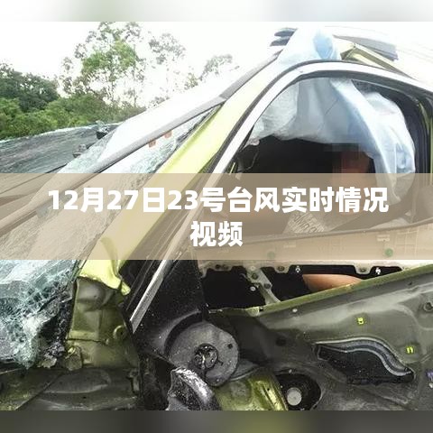 台风实时情况视频更新,12月27日台风动态