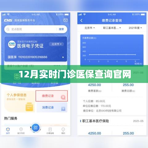 12月实时门诊医保在线查询平台