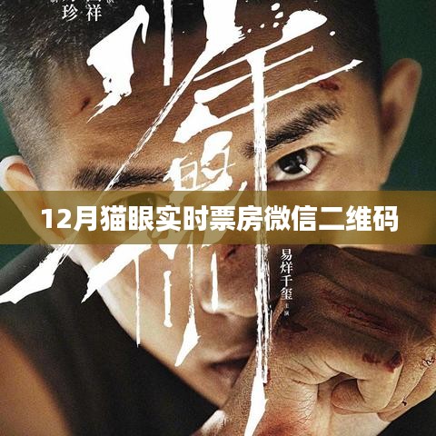 微信二维码实时查询猫眼电影票房数据