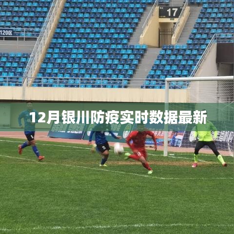 银川12月防疫实时数据更新