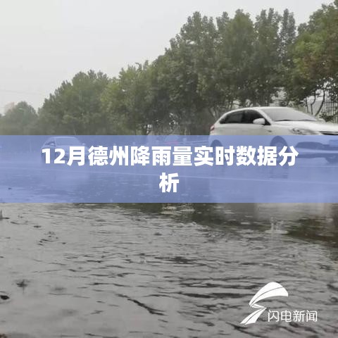 德州12月降雨量实时数据分析报告