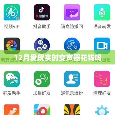 实时变声器12月使用费用解析