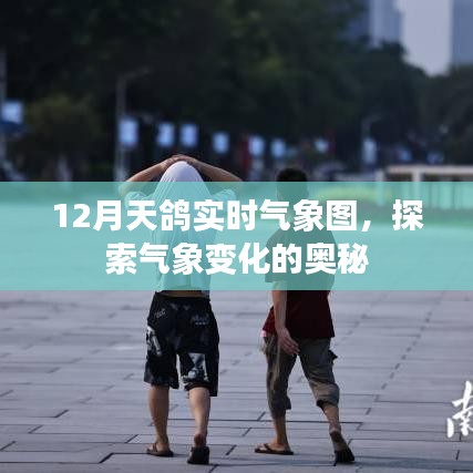 12月天鸽实时气象图，揭秘气象变化奥秘