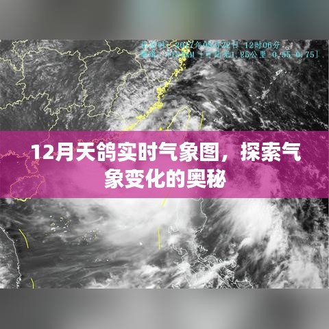 12月天鸽实时气象图,揭秘气象变化奥秘