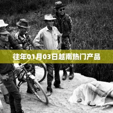 越南热门产品概览,历年趋势解析