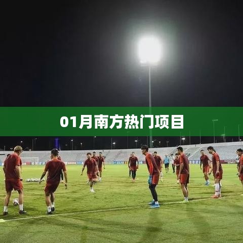 南方热门项目一月份动态解析
