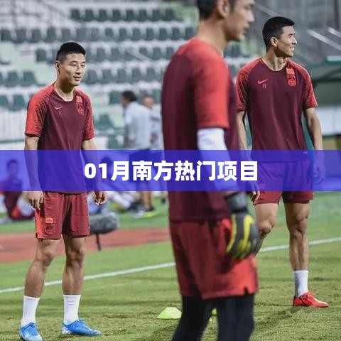 南方热门项目一月份动态解析