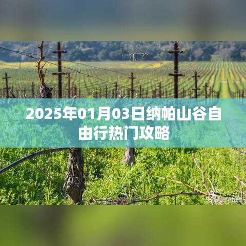 纳帕山谷自由行指南,热门攻略揭秘