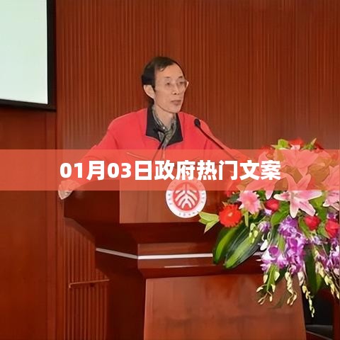 政府热门文案精选,新年新动向,政策解读与动态更新