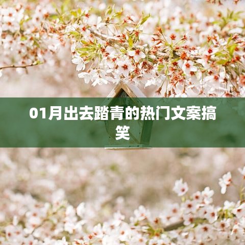 一月踏青乐趣多,笑翻全场热门文案!