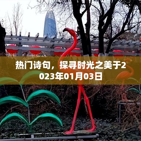 东成西就 第5页