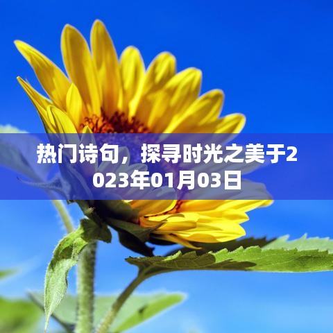 探寻时光之美,热门诗句赏析2023年1月3日