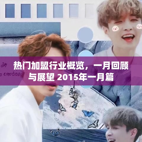 热门加盟行业一月回顾与展望,2015年概览